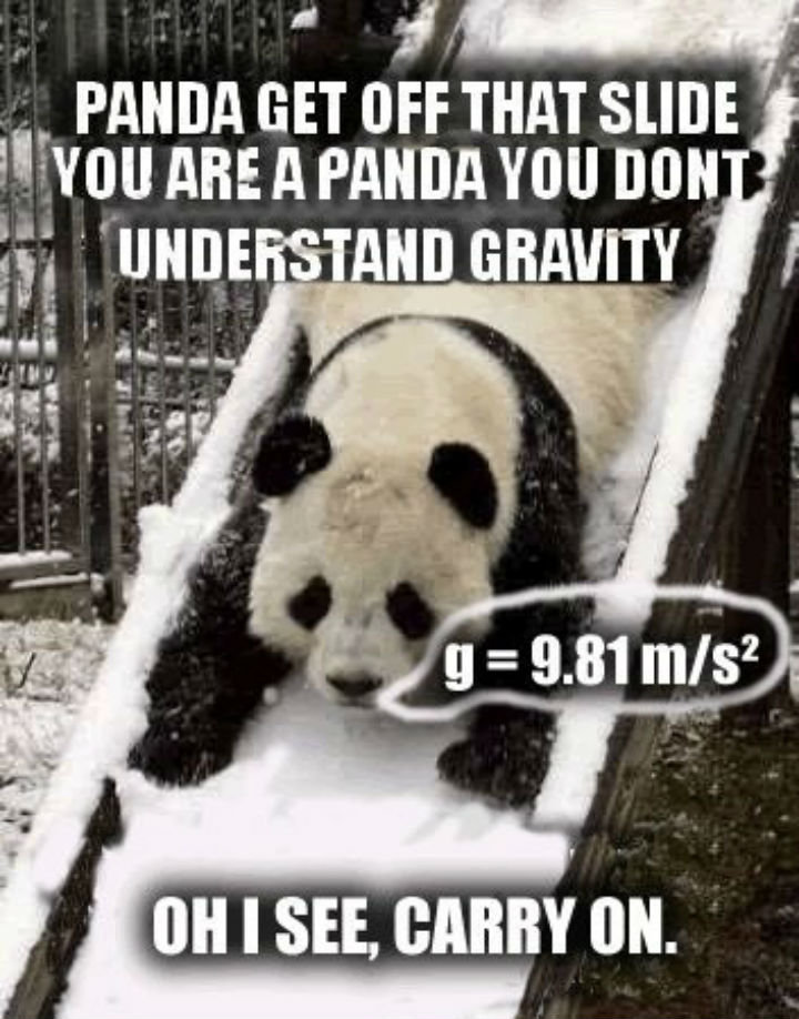 silly panda