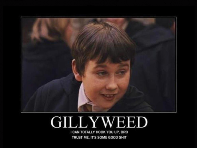 I can't stop laughing about this, its so random! Gillyweed+he+can+hook+you+up+_b32e6d0cc994f4c685892b18c9eba32b