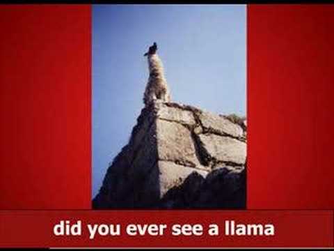 Llama Lyrics