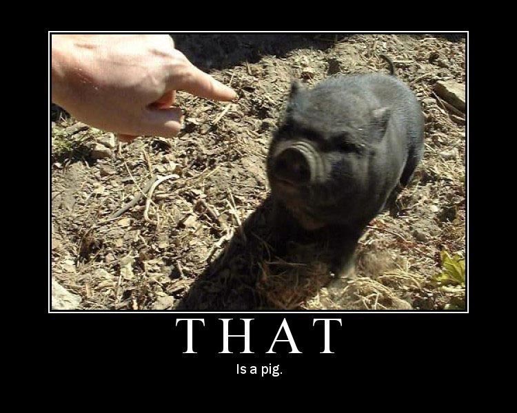 Posted Image